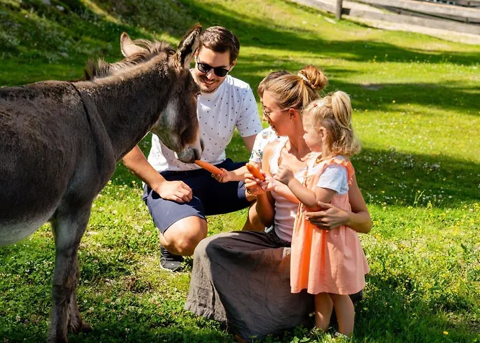 度假居 Foersterin By Interhome *